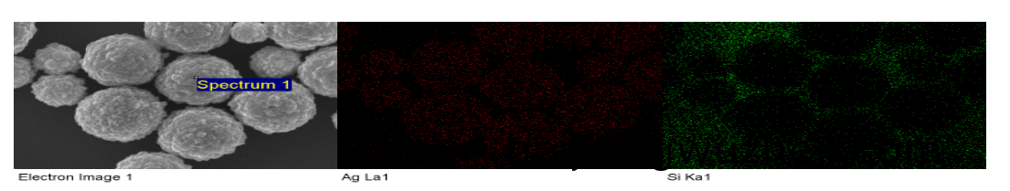 1727072392820.png